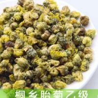 正宗桐乡杭白菊散装头采胎菊王批发 特级花草茶胎菊菊花茶无硫