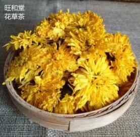 大朵婺源皇菊图1