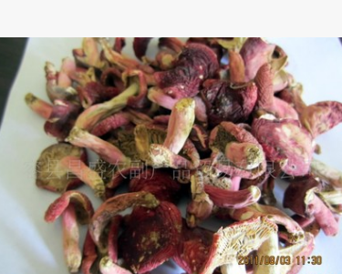 大量供应优质天然野生 红菇图2