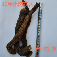 阿拉善肉苁蓉30cm1000G产地批发 大芸中草药材配药抓药配售锁阳