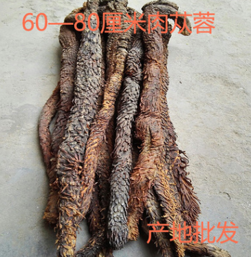 肉苁蓉500克60—80cm内蒙古阿拉善特级大芸泡酒料泡茶代切片中药