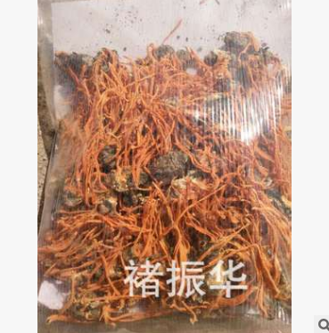 蛹虫草菌丝体纯蚕蛹虫草活体接种250克包邮 蚕蛹粉图1