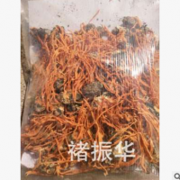 蛹虫草菌丝体纯蚕蛹虫草活体接种250克包邮 蚕蛹粉