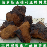 俄罗斯进口 桦树泪 桦褐孔菌 桦树茸 胆桑黄 白桦茸80吨