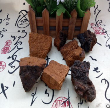 俄罗斯进口 桦树泪 桦褐孔菌 桦树茸 胆桑黄 白桦茸80吨图2