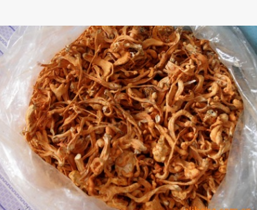 批发零售短条北虫草虫草花颜色好干净适合打粉提取10公斤起批图1
