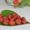 新疆精河枸杞子批发枸杞500g 胜银川枸杞 枸杞