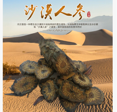供应内蒙古阿拉善肉苁蓉 大芸沙漠人参 软质油苁蓉精选货一斤批发图1