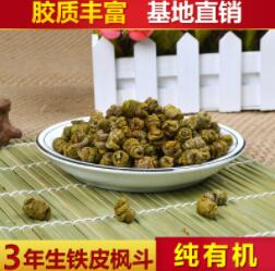 仿野生红杆软脚铁皮石斛枫斗 雁荡山铁皮石斛图1