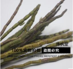 浙江红杆软脚乐清铁皮石斛 三年生铁皮石斛鲜条图1