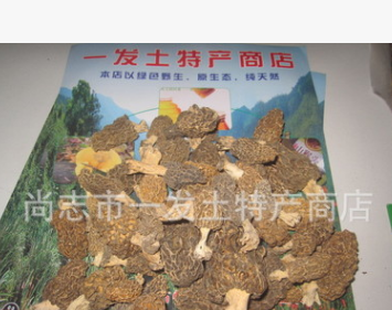 东北野生羊肚菌 特等干品 圆顶1000克 头茬 数量有限 黑龙江产图3