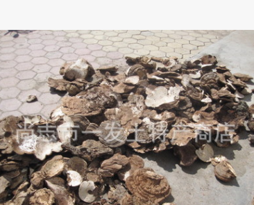 平盖灵芝 东北野生真菌 一发土特产 各种东北野生真菌 10千克起图3