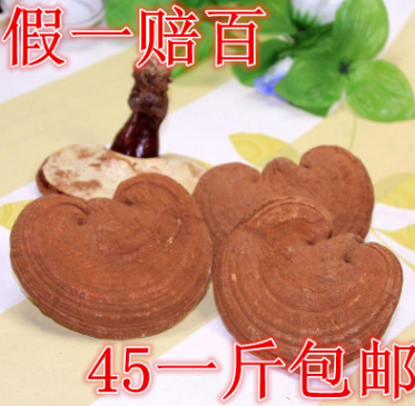 大兴安岭仿野生有柄赤灵芝半野生灵芝500克包邮图1