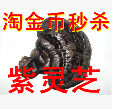 产地东北紫灵芝半野生灵芝免费切片包邮图1
