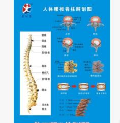 颈椎牵引器 要间康图1