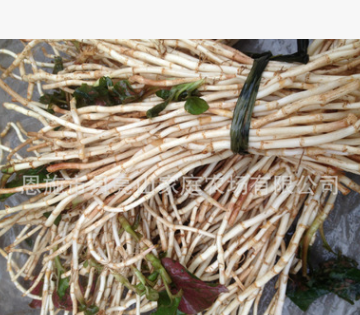 鱼腥草 野生鲜鱼腥草根农家散装鱼腥草折耳根湖北恩施特产批发图1