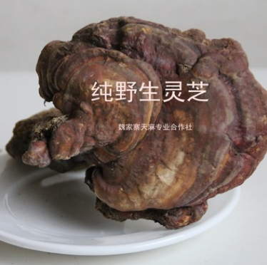 神农架纯野生灵芝 泡酒膳食上品 纯天然绿色食品 神农架特产图1