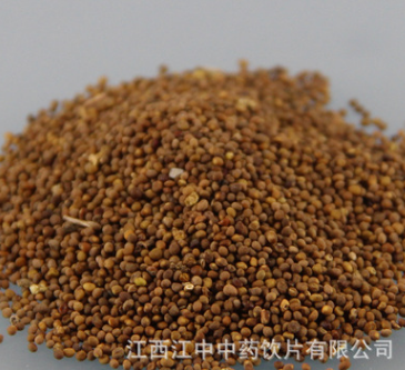 汇中堂 中药材批发菟丝子新货 盐菟丝子 正品 量大从优图1