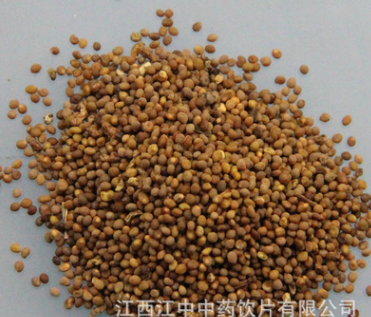 汇中堂 中药材批发菟丝子新货 盐菟丝子 正品 量大从优图2