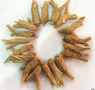加拿大进口5克花旗参 优质植物原材料 农场直达 厂家批发图3