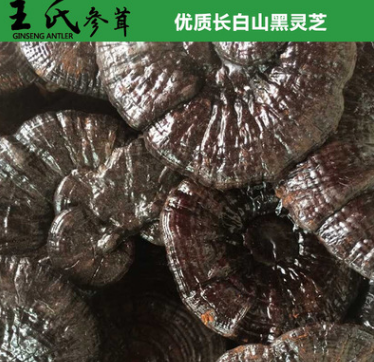 东北吉林长白山灵芝 美容养颜 原生态传统滋补品 王氏参茸批发图1