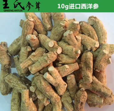 进口西洋参 加拿大10克西洋参 优质西洋参 厂家直销图1