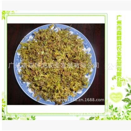 厂家专业供应精制铁皮石斛花 优选铁皮石斛鲜条 铁皮石斛干茶叶子图1