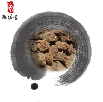 岷县当归个子 无硫特级一斤5-7支精品五支归 甘肃中药材产地货源图1