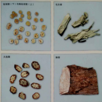 供应 中药材 原产地道地药材 车前子25元每公斤 各种中药材批发零售