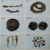 供应中药材原材料动物原材料乌蛇 薪蛇 狗鞭 乌蛇320元每公斤