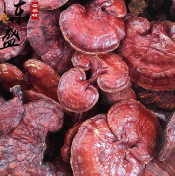 赤灵芝 野生中药材批发 产地直销农家树舌红灵芝干 广西玉林特产图1