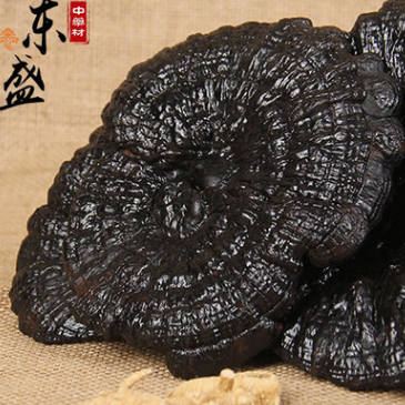 黑灵芝 广西野生竹玄芝中药材批发 黑云芝整枝产地袍子粉 灵芝图1