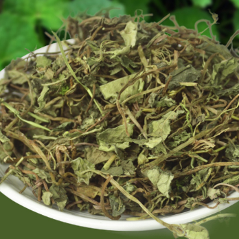 供应大叶金钱草金钱薄荷地钱草中药材图1