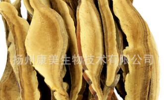 灵芝多糖 灵芝三萜 现货供应 灵芝提取物图1