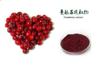 蔓越莓 蔓越橘提取物 天然花青素图1