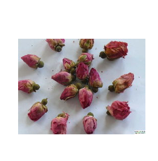 供应 玫瑰花图1