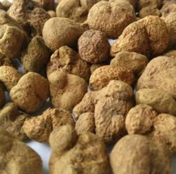 供应 中药材植物原药材元胡 元胡片延胡索 经闭痛经图2