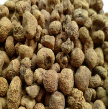 供应 中药材植物原药材元胡 元胡片延胡索 经闭痛经图3