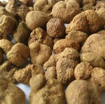 供应 中药材植物原药材元胡 元胡片延胡索 经闭痛经图1