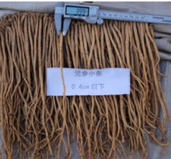甘肃渭源渭水源产地无硫党参原装小条图1