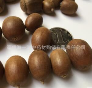 橡子 果 橡皮果 橡子 粉 保质保量 工艺品图2