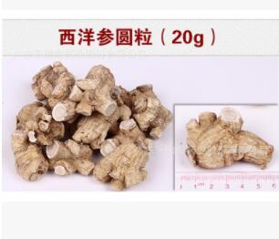 长白山西洋参段粒头花旗参圆粒图2
