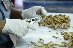 乐陶陶 西洋参段 西洋参粒头礼盒 西洋参段图3