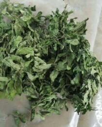 大叶薄荷叶 绿色 花草茶 花茶 普洱 红茶图1