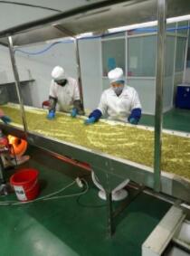 直销熟南瓜子仁散装原味无壳现货批发云南白核桃西瓜z仁烘培图1
