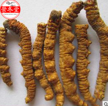 断冬虫夏草全干3克起批顺丰包邮 品质款西藏那曲虫草大断纯肉图2