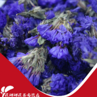 特级勿忘我 花茶 花草茶批发