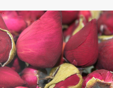 特级 月季花茶 花草茶 普洱茶 红茶 绿茶批发图3
