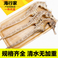 海行家 广东汕头产地直批0.7/1/1.4/2/2.5/3/4克三斑海马药材干货