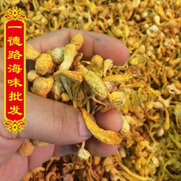 大量批发虫草花 大豹子头 足干虫草花孢子头 味道香浓 凉拌虫草花图1